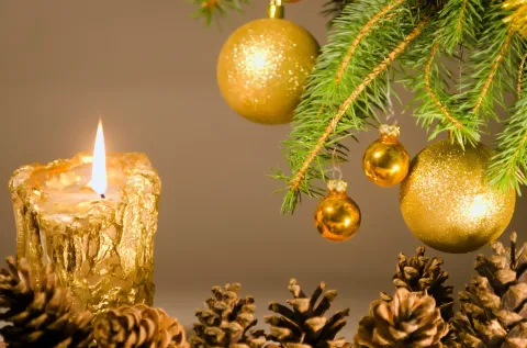 Celebraciones de Navidad de tu Empresa Merecen el Sabor de Deyoly's